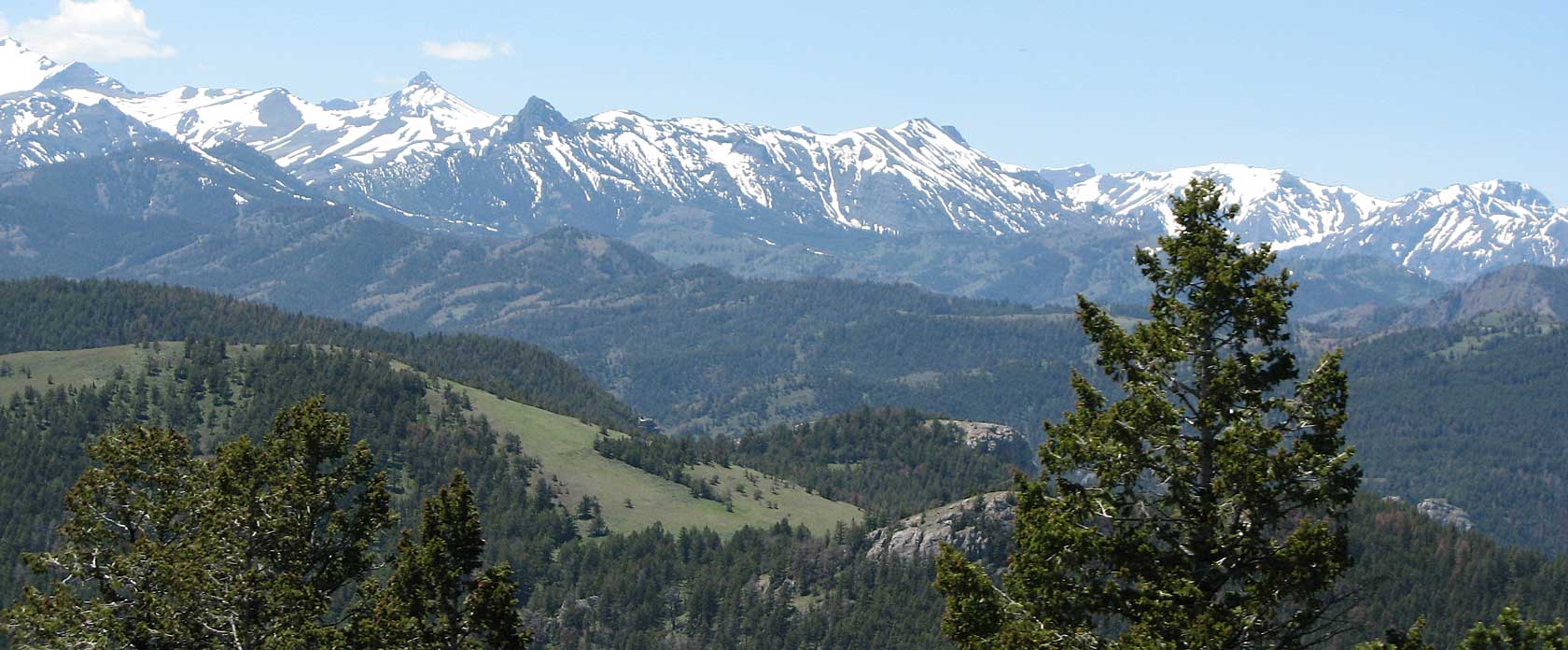 Absaroka Mountain Range / Testimonials